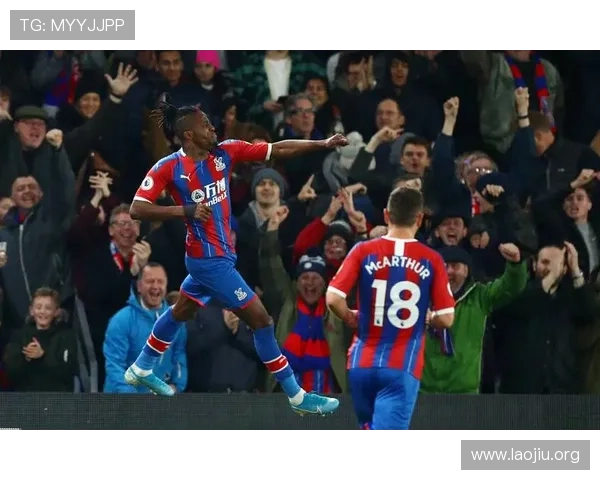 水晶宫足球队队员官网上球员的个人资料、身高体重及比赛位置详解